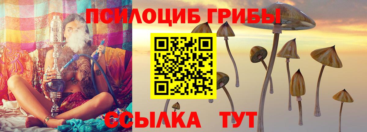 Галлюциногенные грибы MAGIC MUSHROOMS Лесозаводск