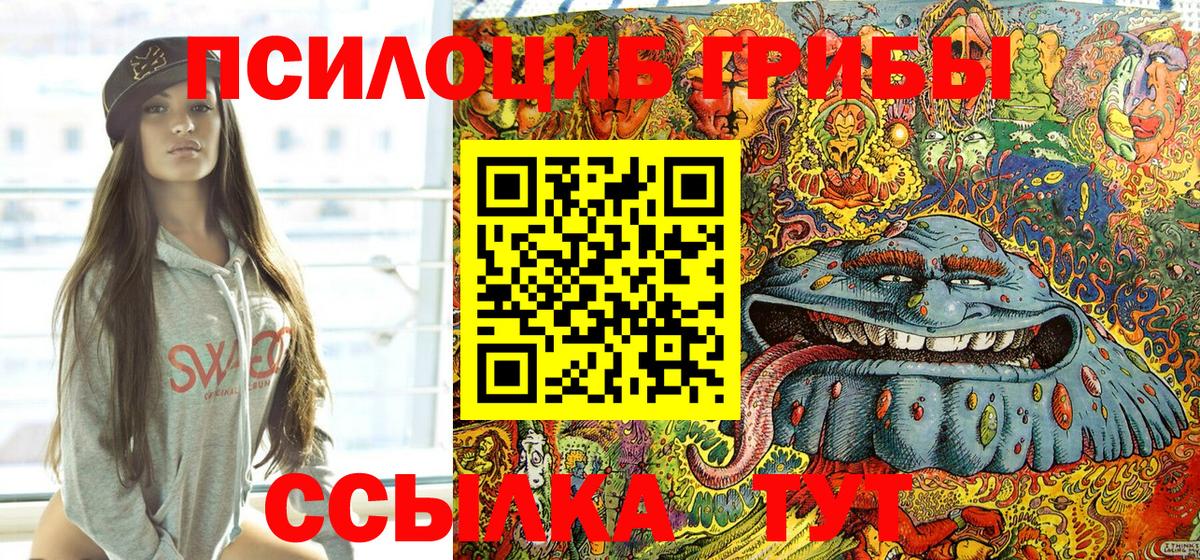 Лесозаводск  Галлюциногенные грибы мицелий  Вход с VPN  купить наркоту  Псилоцибиновые грибы Psilocybe 